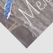 Wildlife Blue Jay Weihnachtsgrüße Thema Seidenpapier (Ausschnitt)