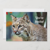 Wildlife Bobcat Foto Geburtstag Einladung (Vorderseite)