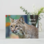 Wildlife Bobcat Foto Geburtstag Einladung (Stehend Vorderseite)
