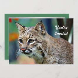 Wildlife Bobcat Foto Geburtstag Einladung