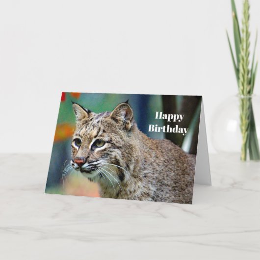Wildlife Bobcat Foto Geburtstag Karte (Vorderseite)