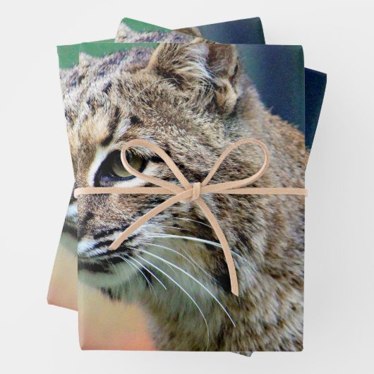 Wildlife Bobcat Foto Geschenkpapier Set (Beispiel)