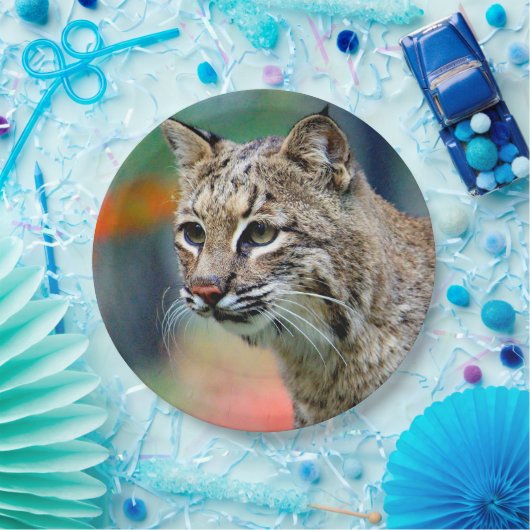 Wildlife Bobcat Foto Pappteller (Party)
