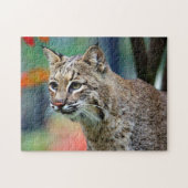 Wildlife Bobcat Foto Puzzle (Horizontal)
