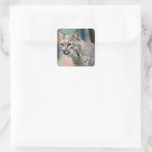 Wildlife Bobcat Foto Quadratischer Aufkleber (Tasche)