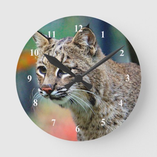 Wildlife Bobcat Foto Runde Wanduhr (Vorderseite)