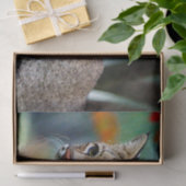 Wildlife Bobcat Foto Seidenpapier (Geschenk)