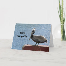 Wildlife Brown Pelican Water Foto Beileid Karte
