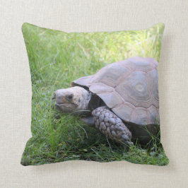 Wildlife Brown Tortoise Foto Kissen