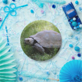 Wildlife Brown Tortoise Foto Pappteller (Party)