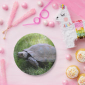 Wildlife Brown Tortoise Foto Pappteller (Party)