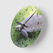Wildlife Brown Tortoise Foto Runde Wanduhr (Winkel)