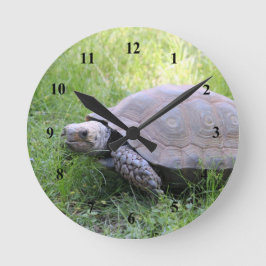 Wildlife Brown Tortoise Foto Runde Wanduhr