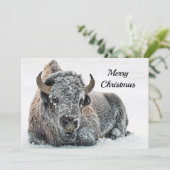 Wildlife Buffalo Schnee Foto Weihnachtswohnung Feiertagskarte (Stehend Vorderseite)