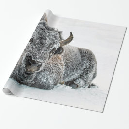 Wildlife Buffalo Snow Foto Geschenkpapier