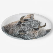 Wildlife Buffalo Snow Foto Pappteller (Schrägansicht)