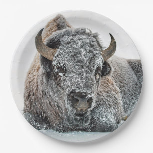 Wildlife Buffalo Snow Foto Pappteller