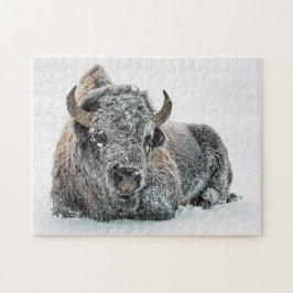 Wildlife Buffalo Snow Foto Puzzle