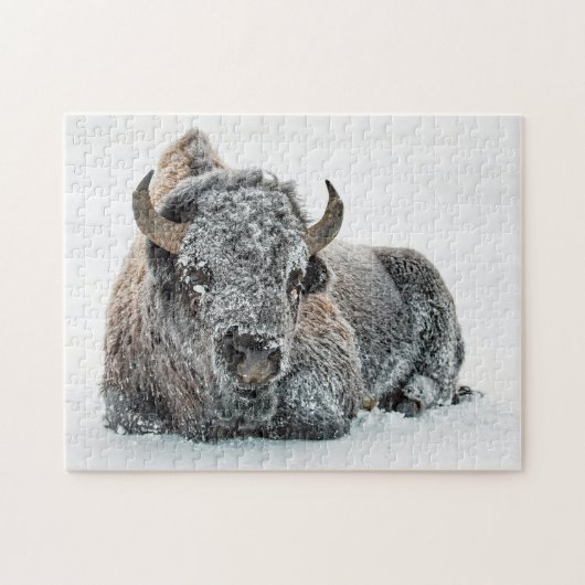 Wildlife Buffalo Snow Foto Puzzle (Horizontal)