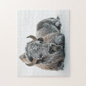 Wildlife Buffalo Snow Foto Puzzle (Vertikal)
