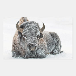 Wildlife Buffalo Snow Foto Rechteckiger Aufkleber