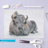Wildlife Buffalo Snow Foto Seidenpapier (Handwerk)