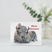 Wildlife Buffalo Snow Foto Weihnachten Postkarte (Stehend Vorderseite)