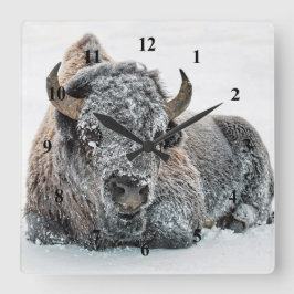 Wildlife Buffalo Snow Photo Quadratische Wanduhr