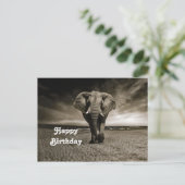 Wildlife Bull Elephant Foto Geburtstag Postkarte (Stehend Vorderseite)