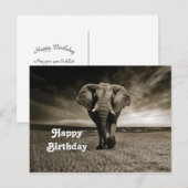 Wildlife Bull Elephant Foto Geburtstag Postkarte (Vorne/Hinten)