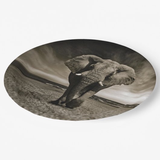 Wildlife Bull Elephant Foto Pappteller (Schrägansicht)