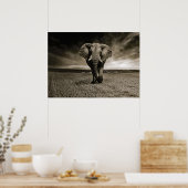 Wildlife Bull Elephant Foto Poster (Küche)