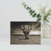 Wildlife Bull Elephant Foto Postkarte (Stehend Vorderseite)