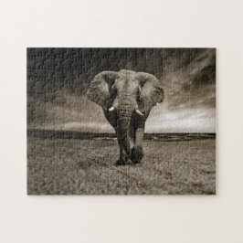 Wildlife Bull Elephant Foto Puzzle