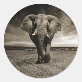 Wildlife Bull Elephant Foto Runder Aufkleber