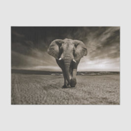 Wildlife Bull Elephant Foto Seidenpapier