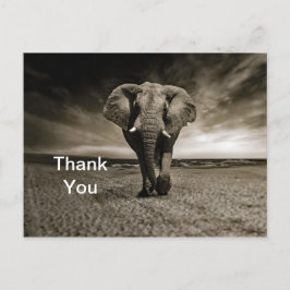 Wildlife Bull Elephant Foto Vielen Dank Postkarte