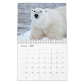 Wildlife Calendar Kalender (Jan 2027)