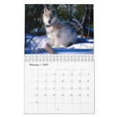 Wildlife Calendar Kalender (Feb 2027)