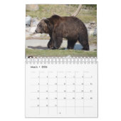 Wildlife Calendar Kalender (Mär 2026)
