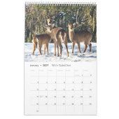 Wildlife Calendar Kalender (Jan 2027)
