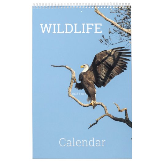 Wildlife Calendar Kalender (Titelbild)
