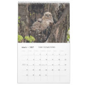 Wildlife Calendar Kalender (Mär 2027)