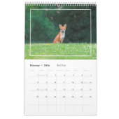 Wildlife Calendar Kalender (Feb 2026)