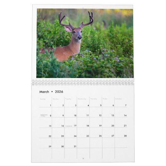 Wildlife Calendar Kalender (Mär 2026)