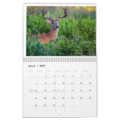 Wildlife Calendar Kalender (Mär 2027)