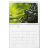 Wildlife Calendar Kalender (Jan 2027)