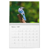 Wildlife Calendar Kalender (Feb 2027)