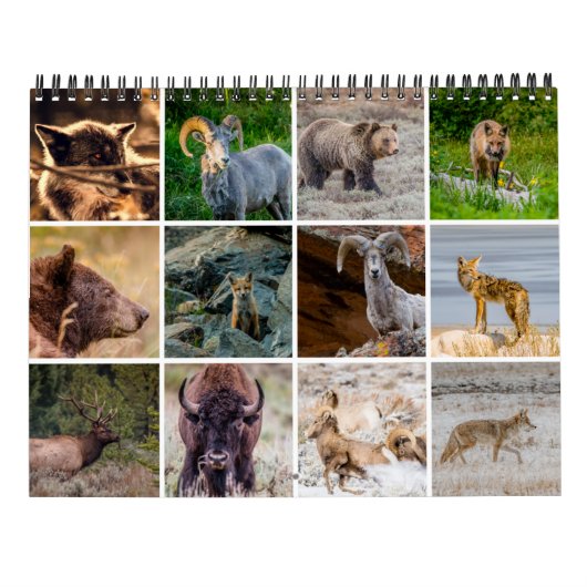 Wildlife Calendar Kalender (Rückseite)