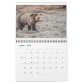 Wildlife Calendar Kalender (Mär 2026)
